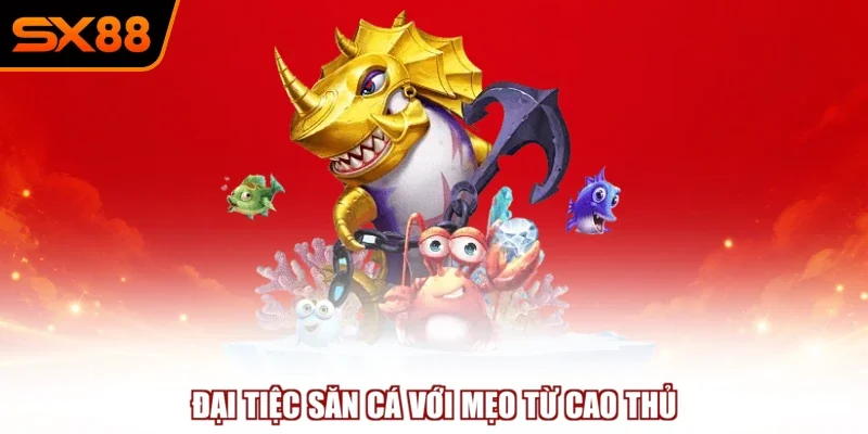 dai tiec san ca voi meo tu cao thu Đại tiệc săn cá với mẹo từ cao thủ
